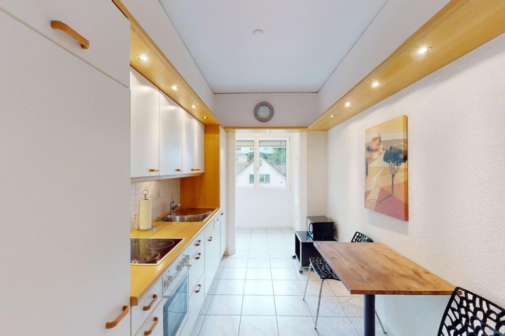 Executive 1 Bedroom Flat, City Center Zurich Ngoại thất bức ảnh
